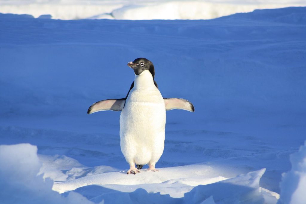 Visual studio code installation on linux complete guide to start 